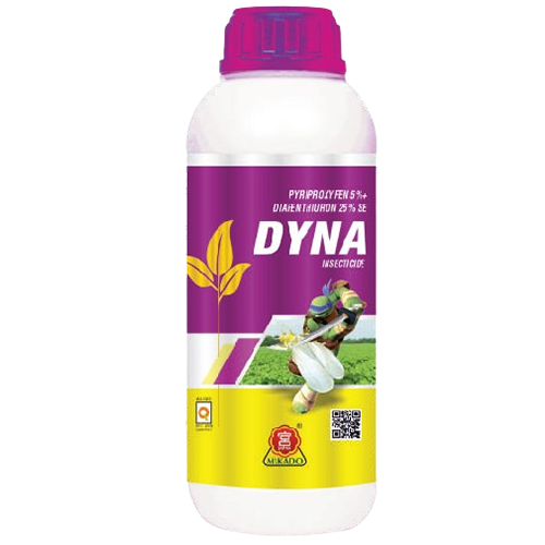 DYNA